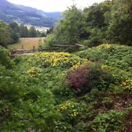 Grande Maison Confortable A バニエール・ド・ビゴール